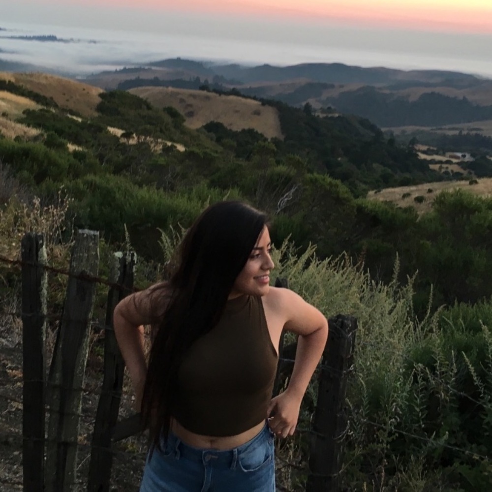 Turtle neck crop top